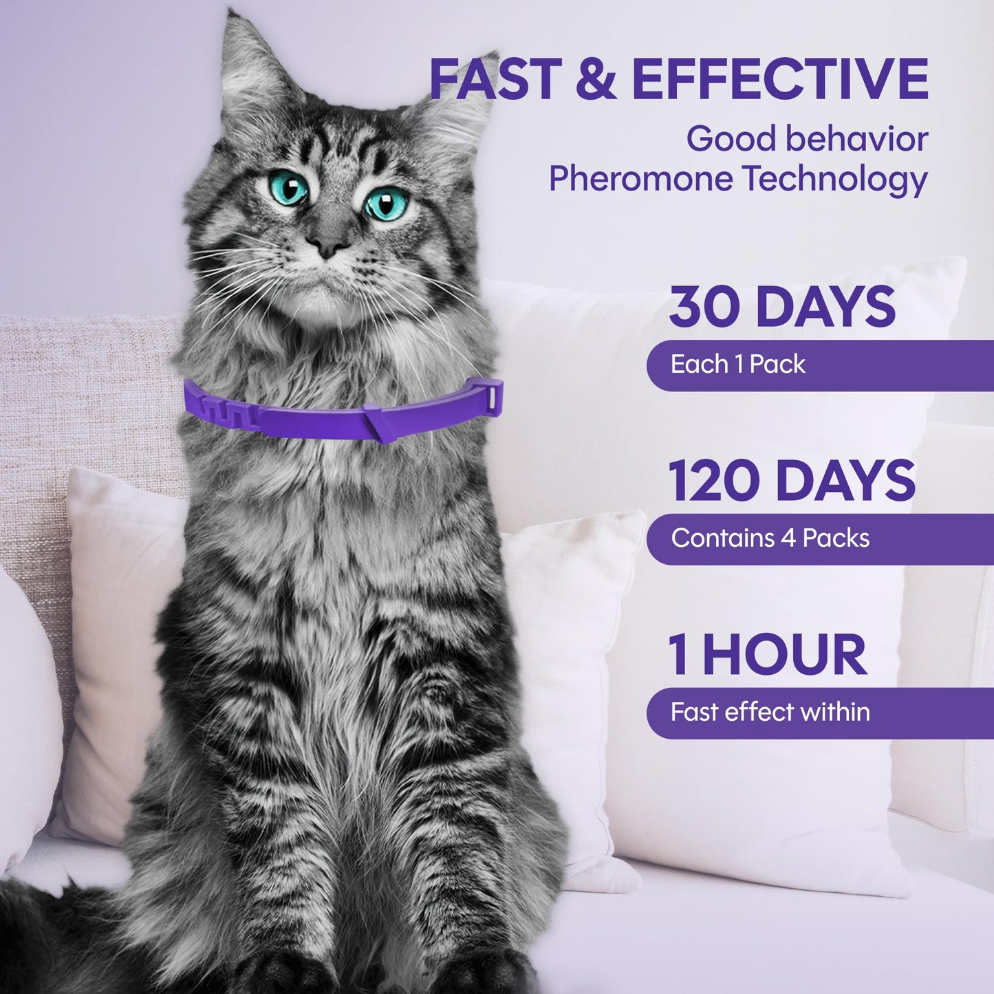 Cat Calming Collar 4 Pack – Pheromone Collar for Cats, Adjustable Breakaway, Water-Resistant, Stress Relief, Helps Reduce Scratching, Noise Sensitivity & Separation Anxiety