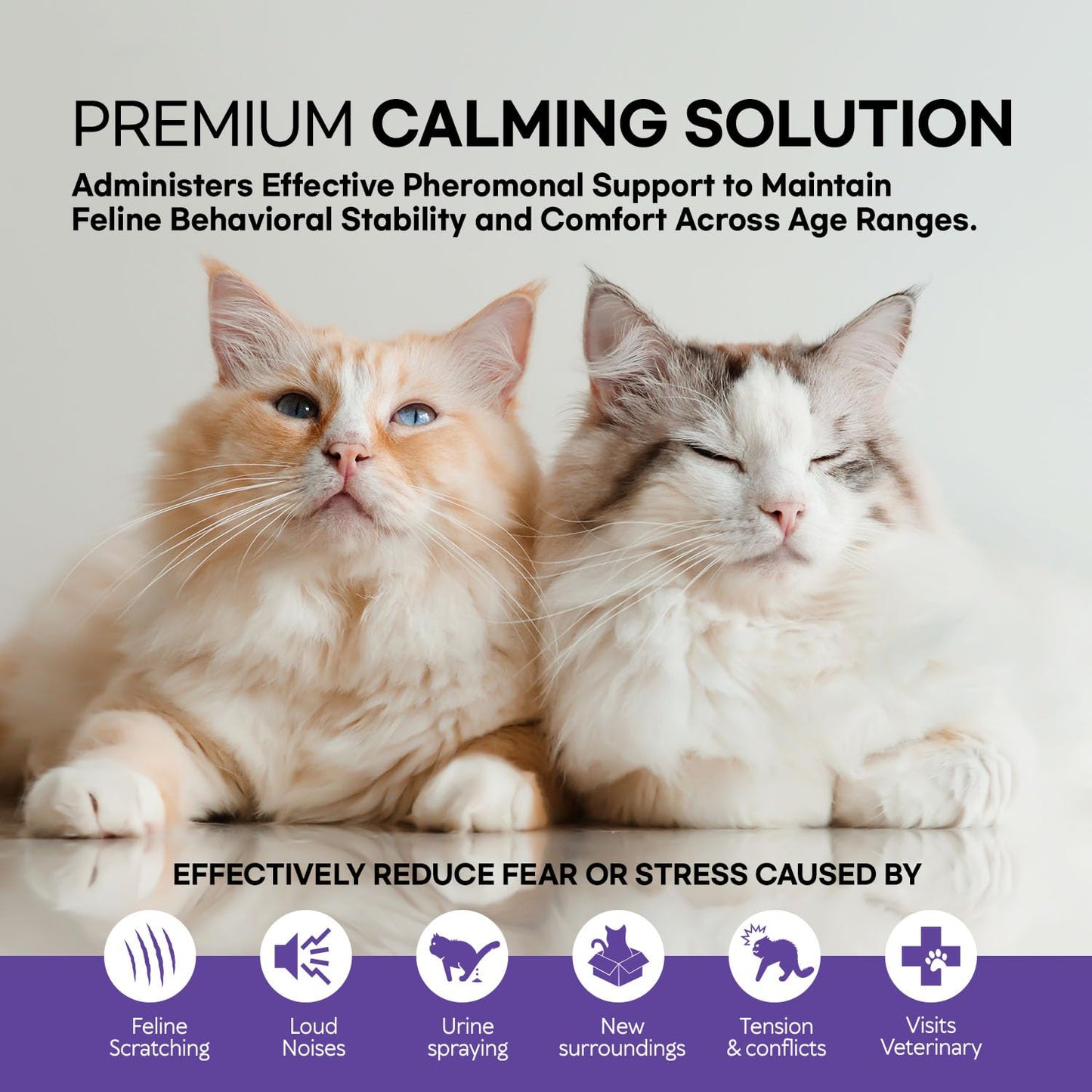 Cat Calming Pheromone Diffuser : Cat Calming Diffuser Advanced for Cat Anxiety Stress - Cat Pheromone Diffuser Reduce Cats Spraying, Fighting & Scratching Relaxuble Calming for All Of Cats 48ml