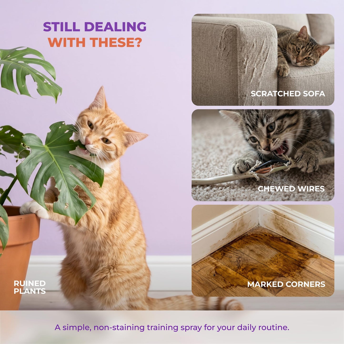Cat Deterrent Spray – Natural Pheromone-Infused Anti-Scratch Spray for Cats & Kittens, Stops Urine Marking & Scratching, Safe for Indoor & Outdoor Use, Furniture & Carpet Protection, 150ml