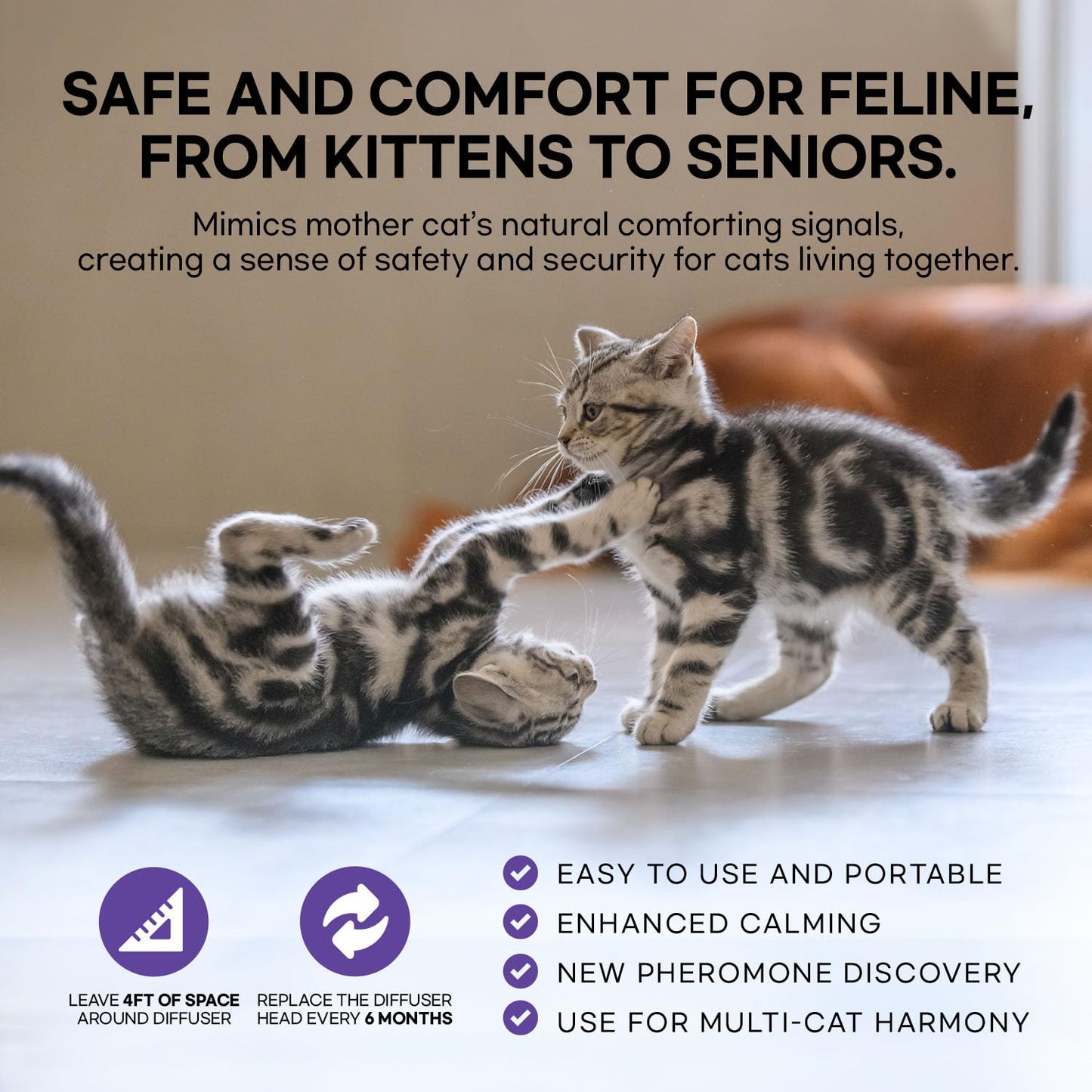 Cat Calming Pheromone Diffuser : Cat Calming Diffuser Advanced for Cat Anxiety Stress - Cat Pheromone Diffuser Reduce Cats Spraying, Fighting & Scratching Relaxuble Calming for All Of Cats 48ml